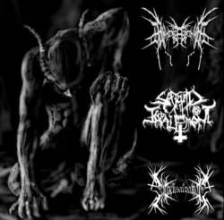 Apotamkin : Apotamkin - Black Salvation - Satanic Impalement